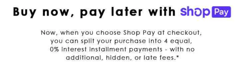 Does shop pay let you pay over time? [year]