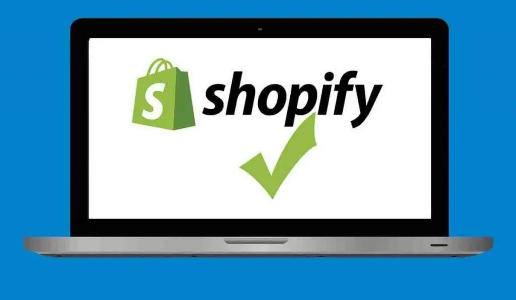 How much do beginners make on Shopify? [year]